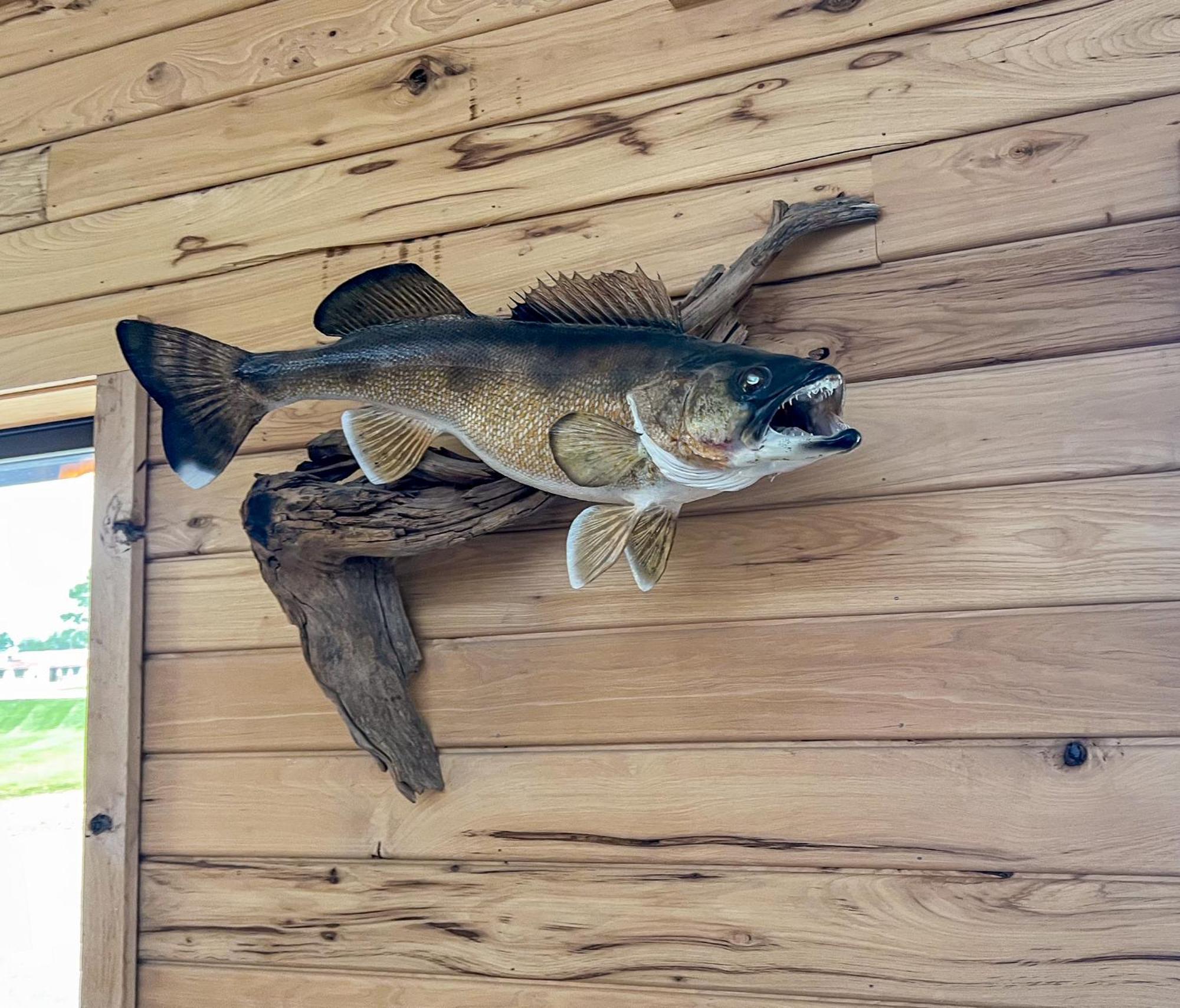 Walleye Inn Baudette Exterior foto